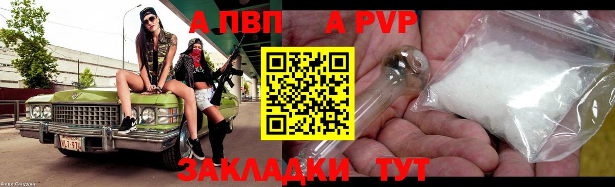 Альфа ПВП СК Кстово
