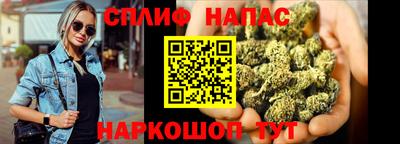 шишки Кандалакша