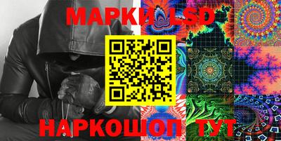 шишки Кандалакша
