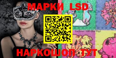 шишки Кандалакша