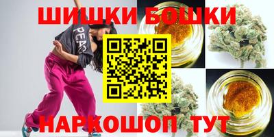 шишки Кандалакша