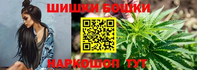 шишки Кандалакша