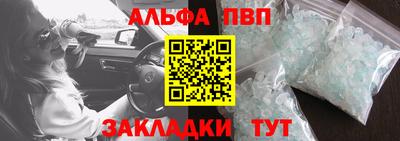 шишки Кандалакша