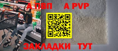 шишки Кандалакша