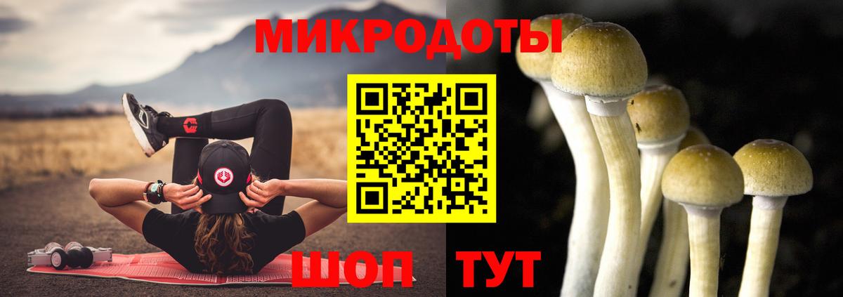 Псилоцибиновые грибы Magic Shrooms  Вход с VPN  Кстово 